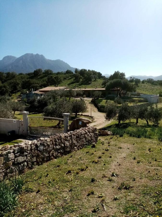 B&B Sa Mendula Oliena Extérieur photo