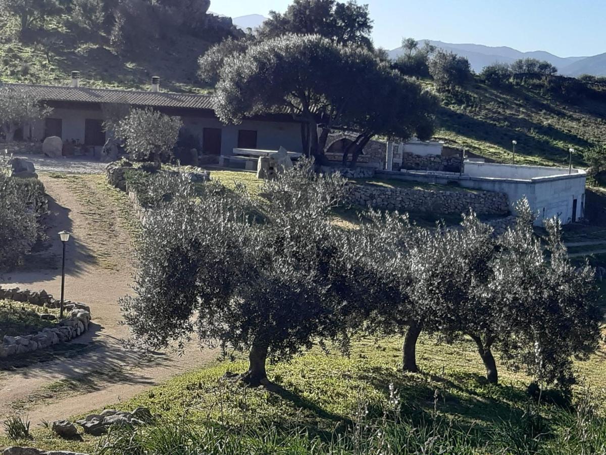 B&B Sa Mendula Oliena Extérieur photo