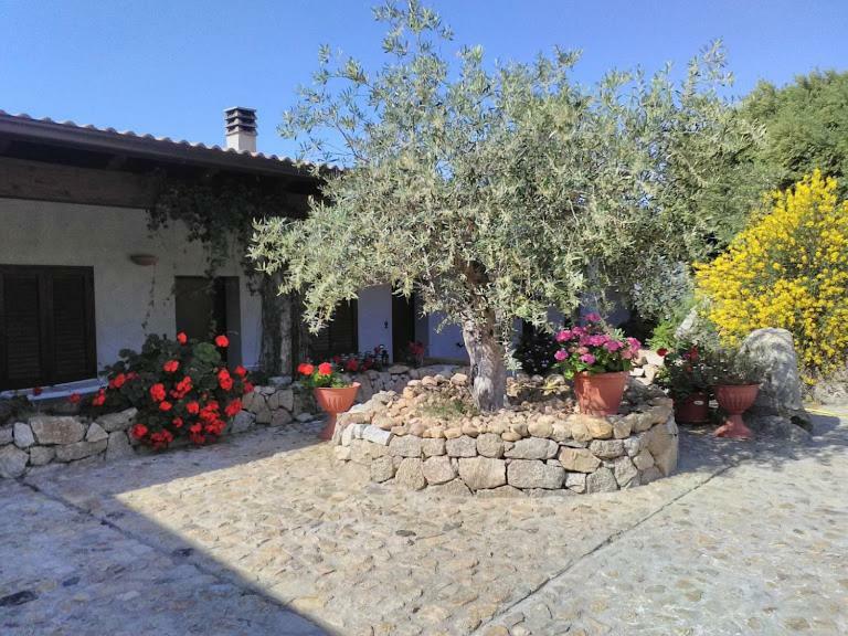 B&B Sa Mendula Oliena Extérieur photo