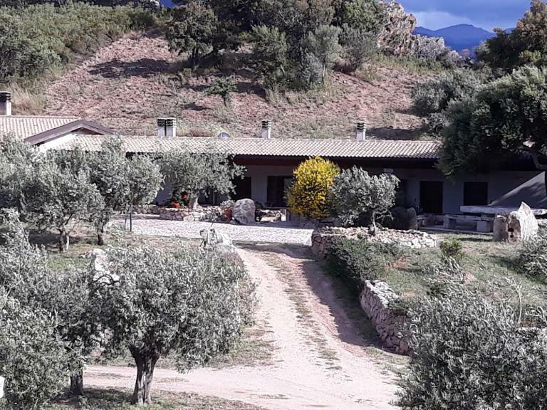 B&B Sa Mendula Oliena Extérieur photo